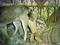 Classic beastiality clip with a wolf and whore